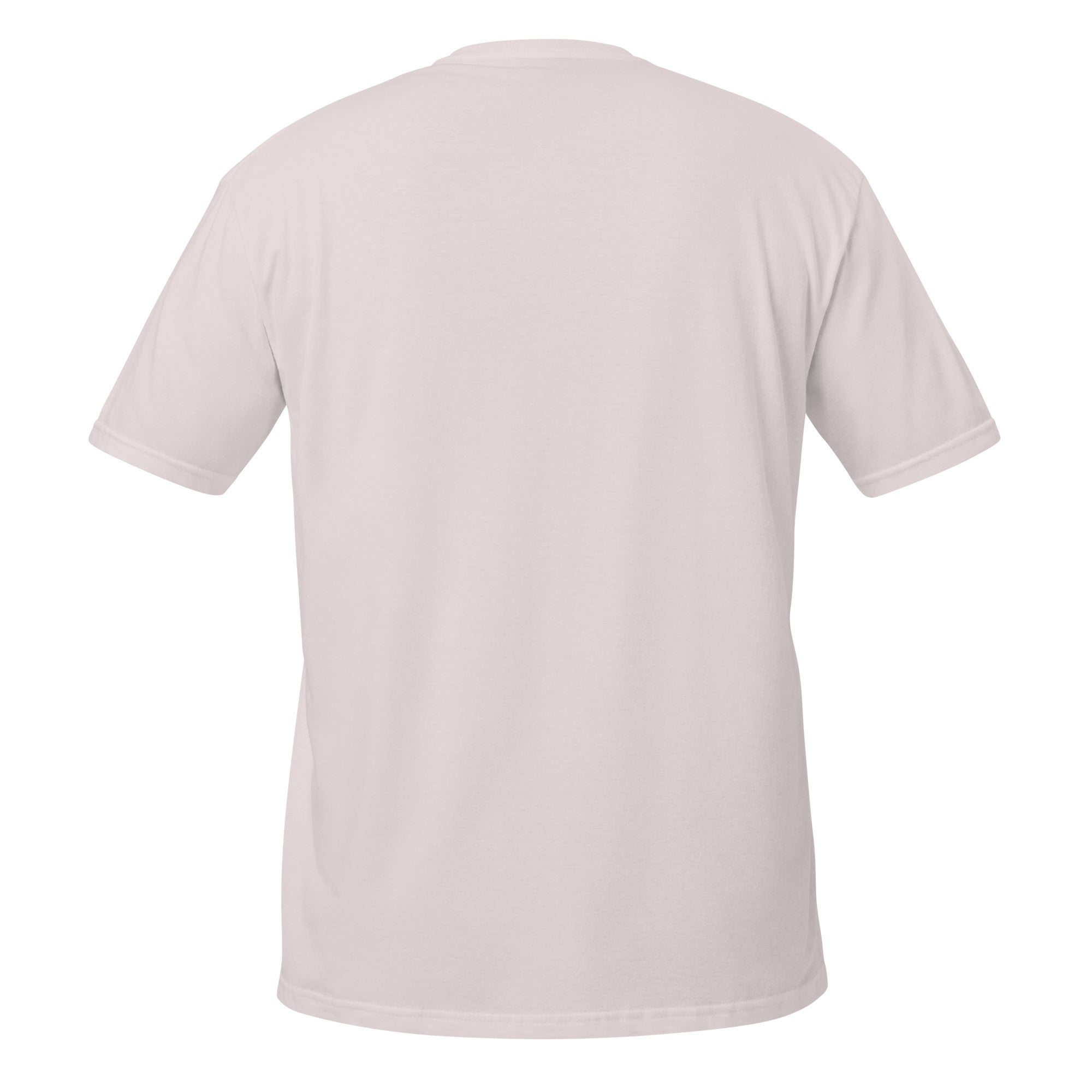 G&J Store unisex basic softstyle t-shirt ice grey back view